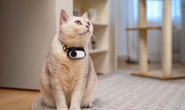 2024年6月最佳电子产品